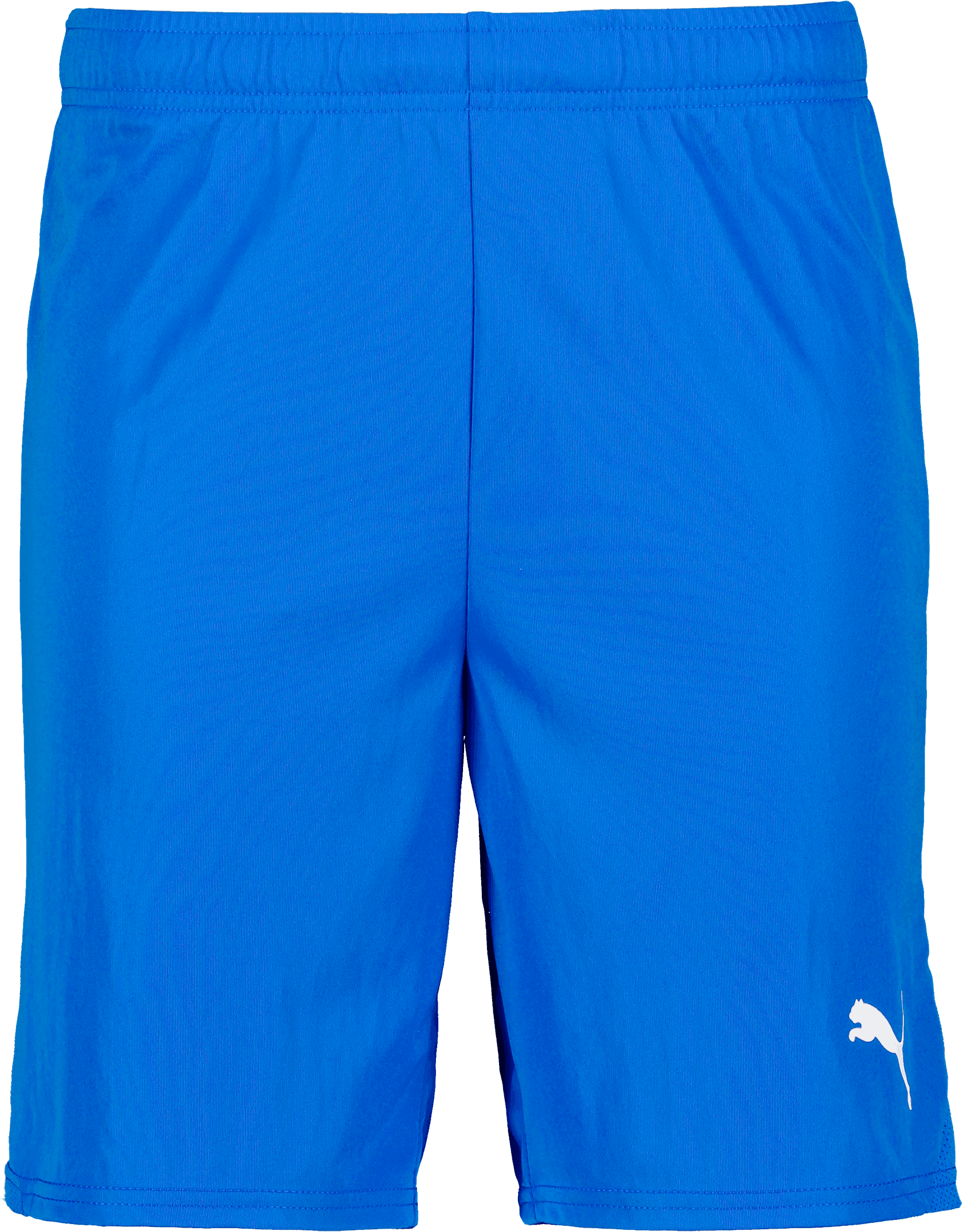 Puma, T Goal Shorts Jr-100864, Product 0