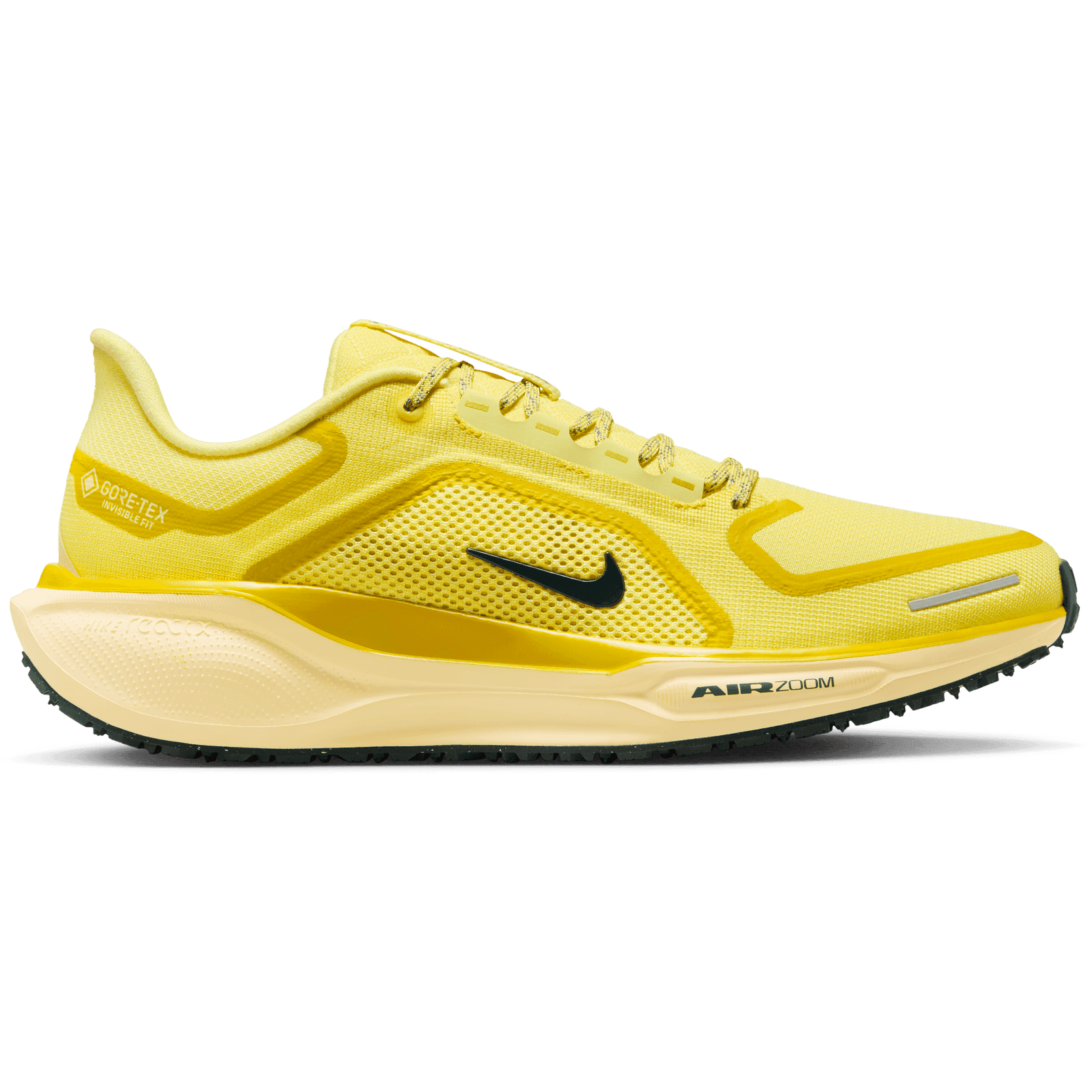 Nike, M Pegasus 41 Gore-Tex, Product 0