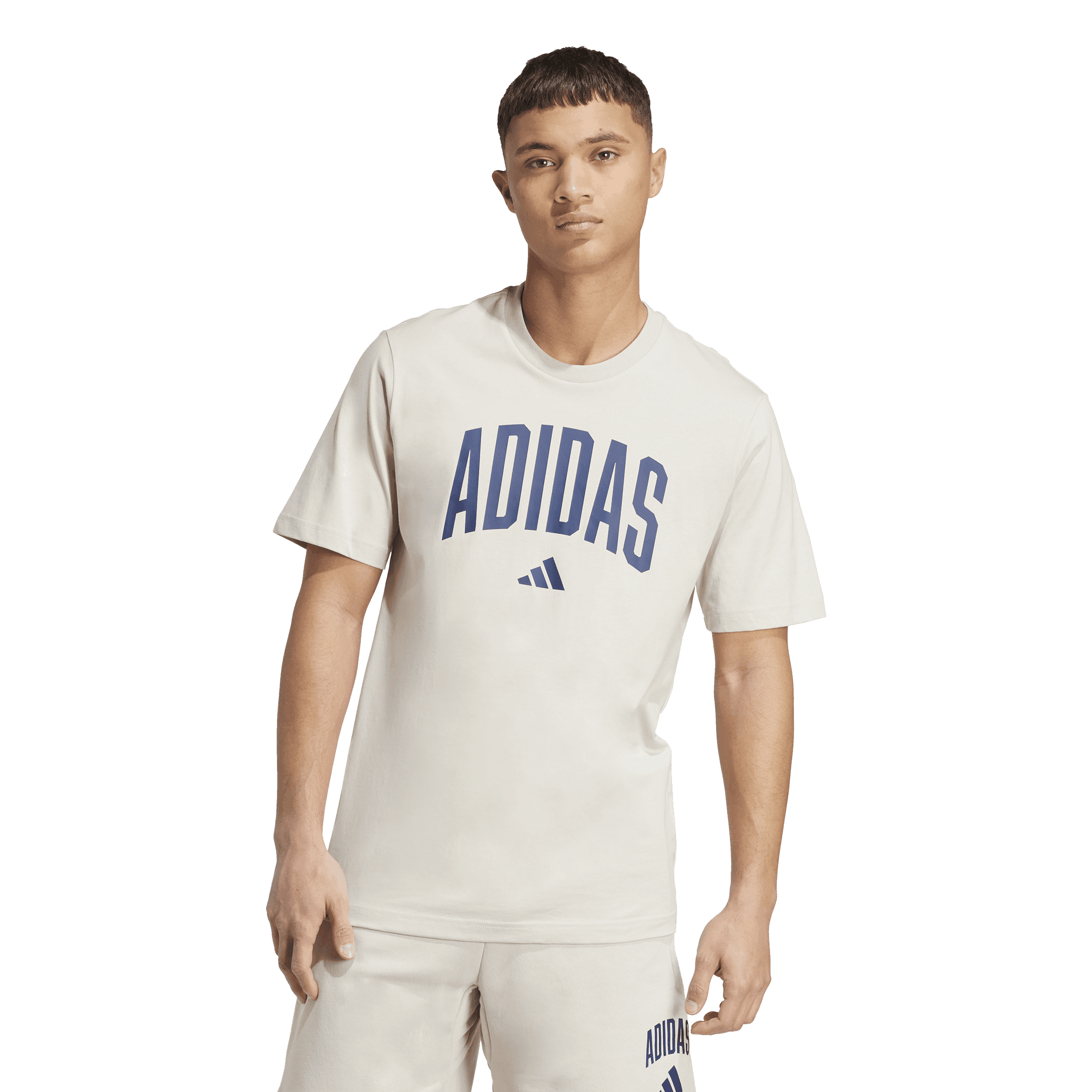 Adidas, M Collegiate T, Model 1
