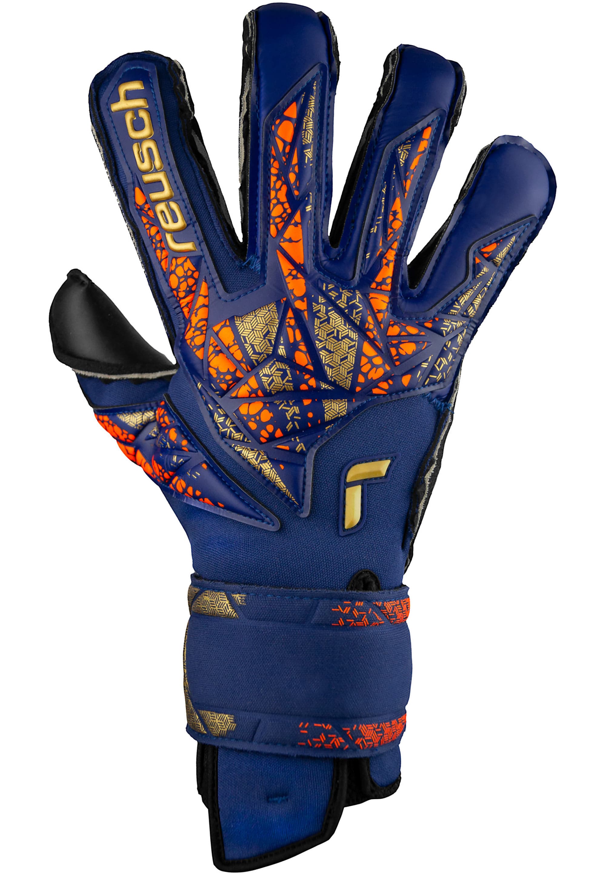 REUSCH, Attrakt Duo Evolution, Detail 1