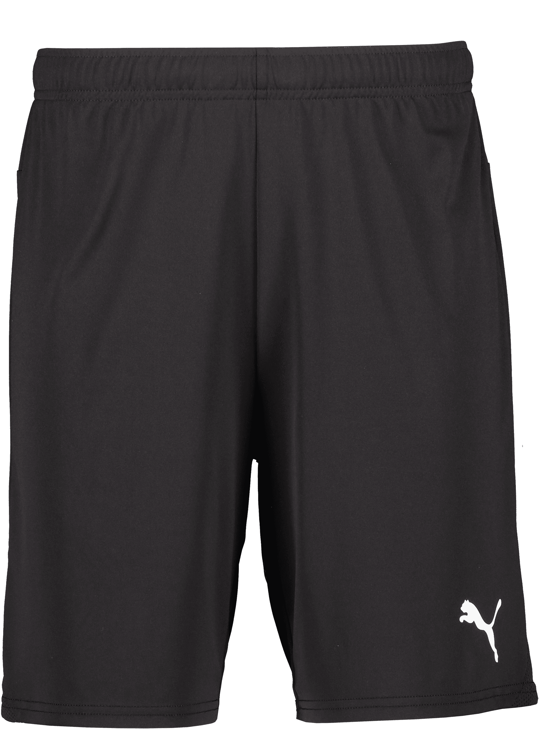 Puma, T Goal Shorts-152156, Product 0