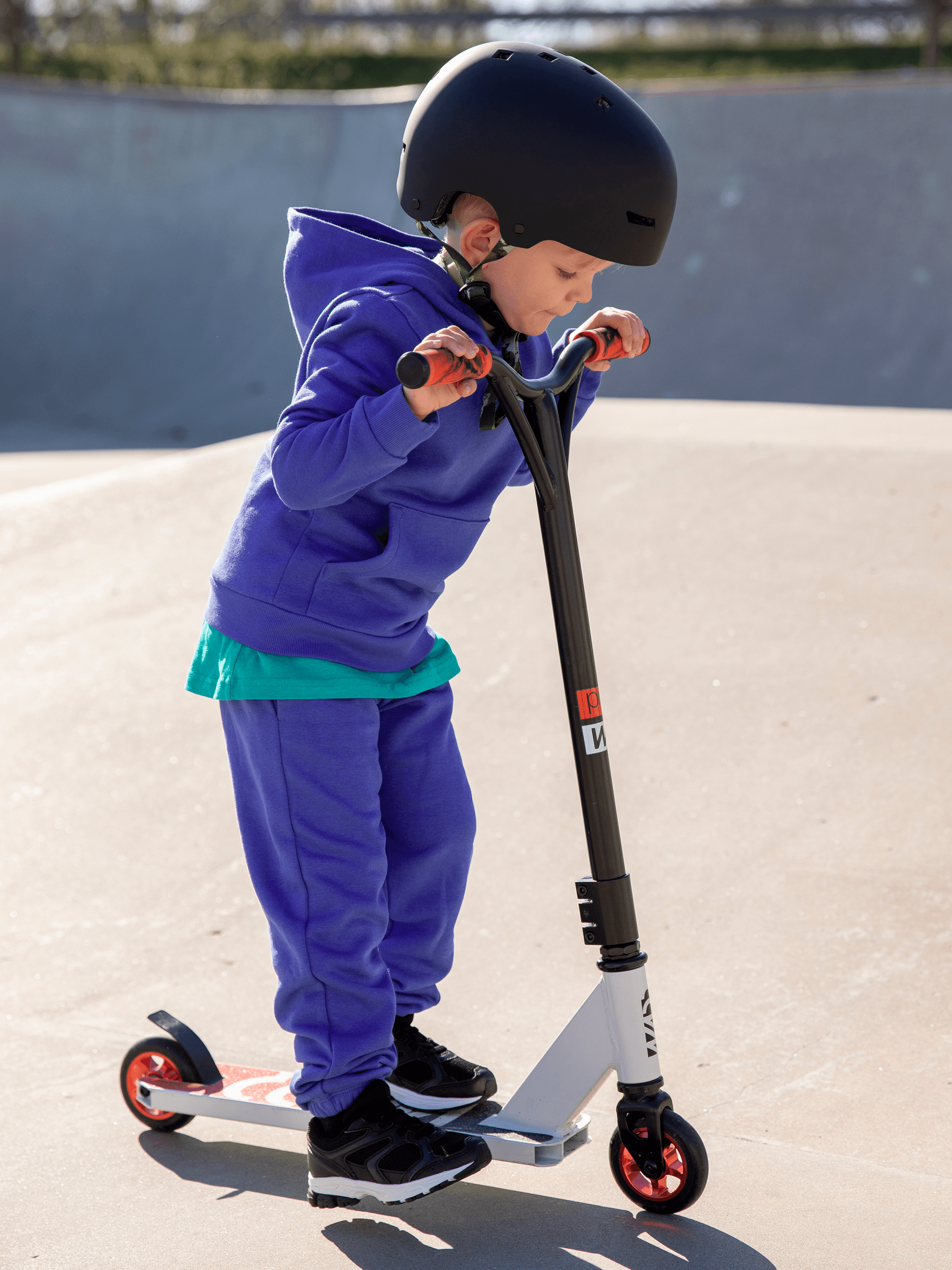 WARP, Whip Pro, Model 1