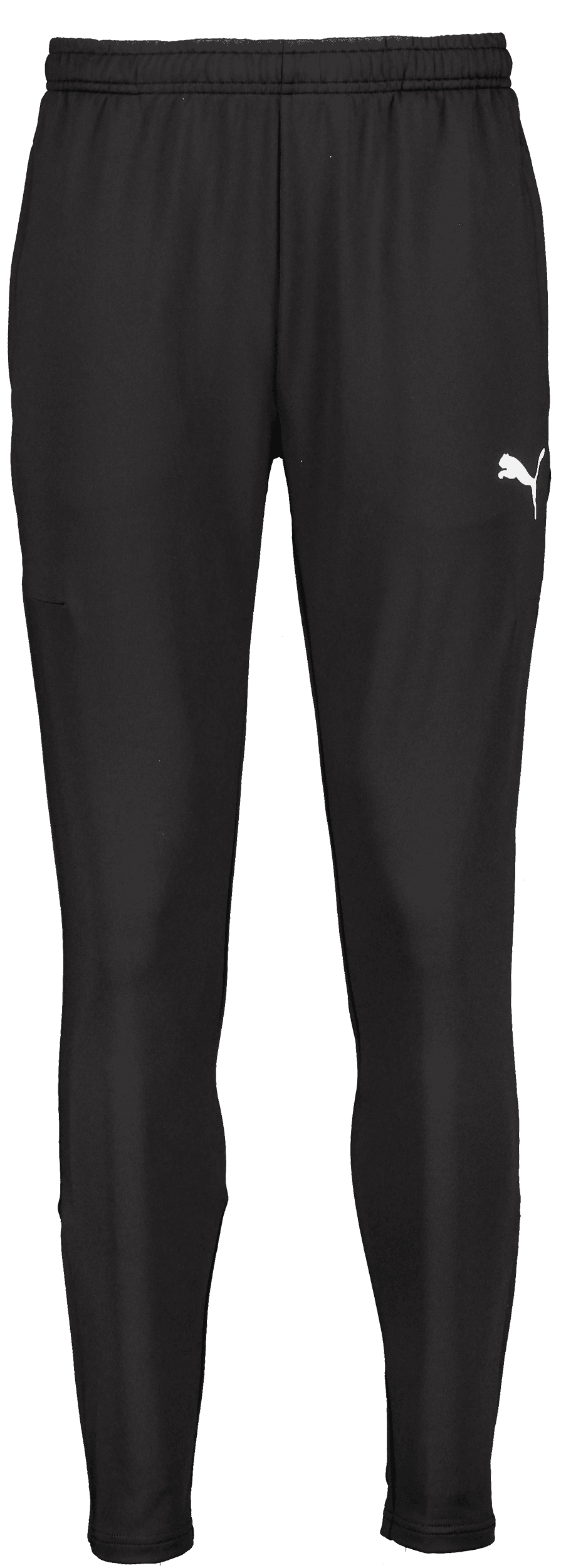 Puma, T Goal Pro Trg Pnt-100880, Product 0