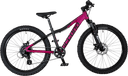 X24, Pink
