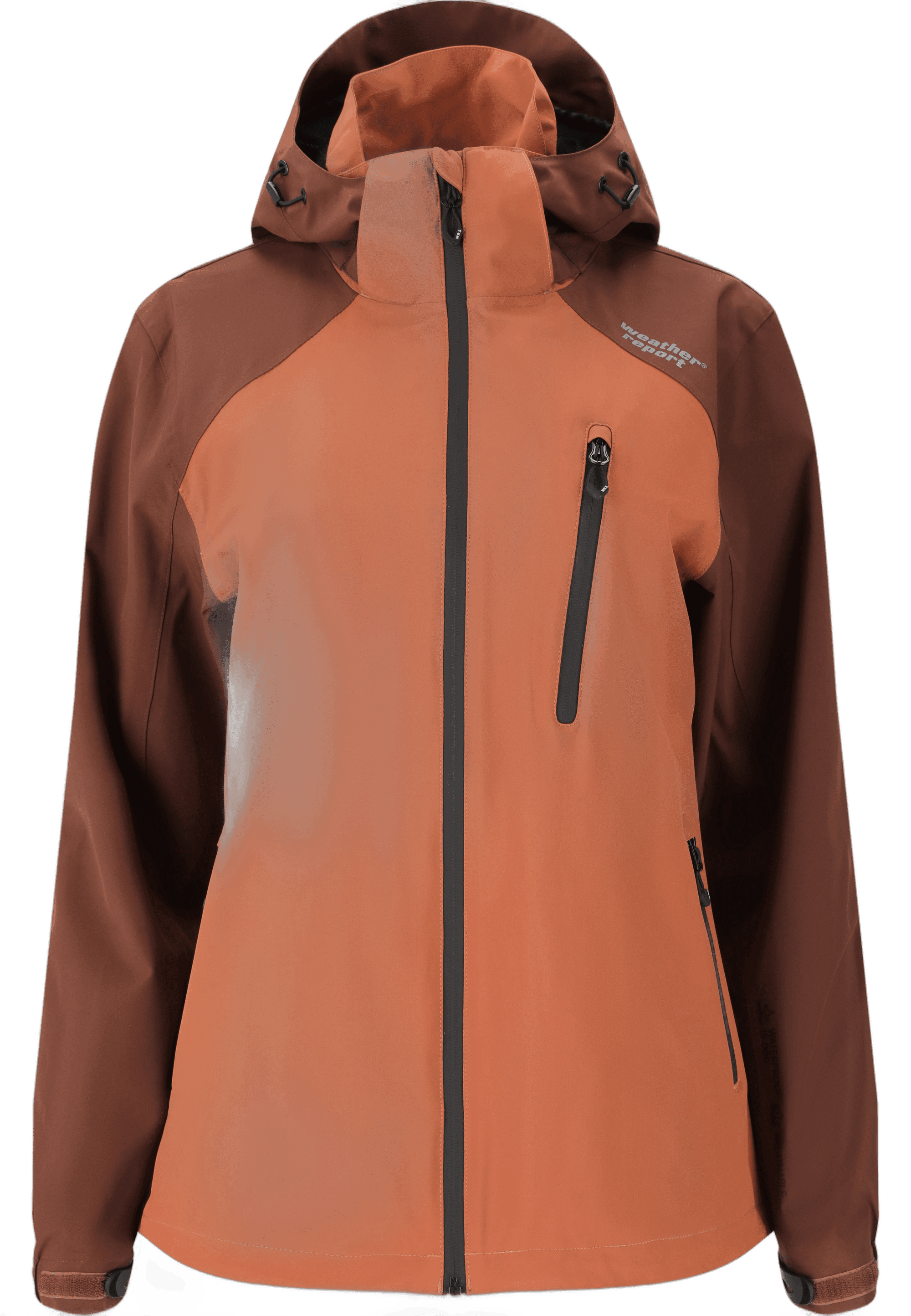 weather report, Camelia W-pro15000, Product 0