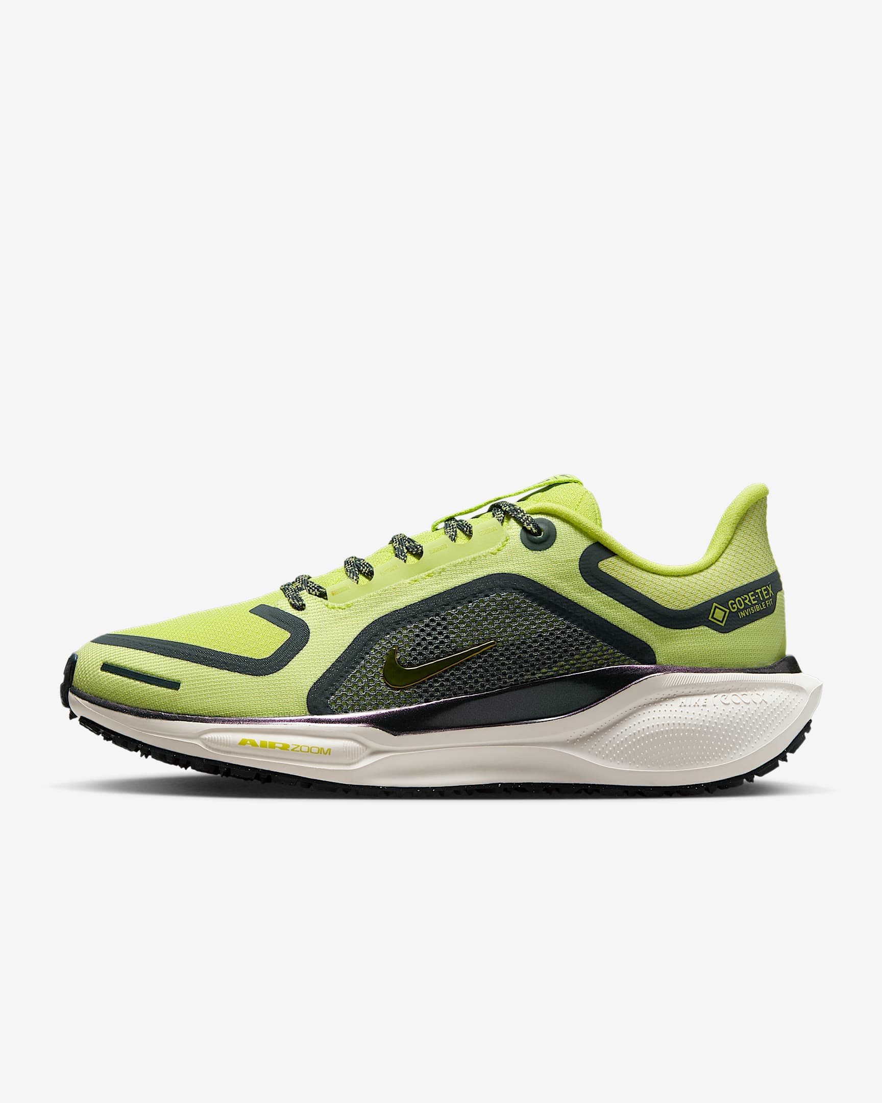 Nike, W Pegasus 41 Gore-Tex, Product 0