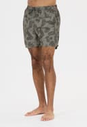 Fileyer, Grey