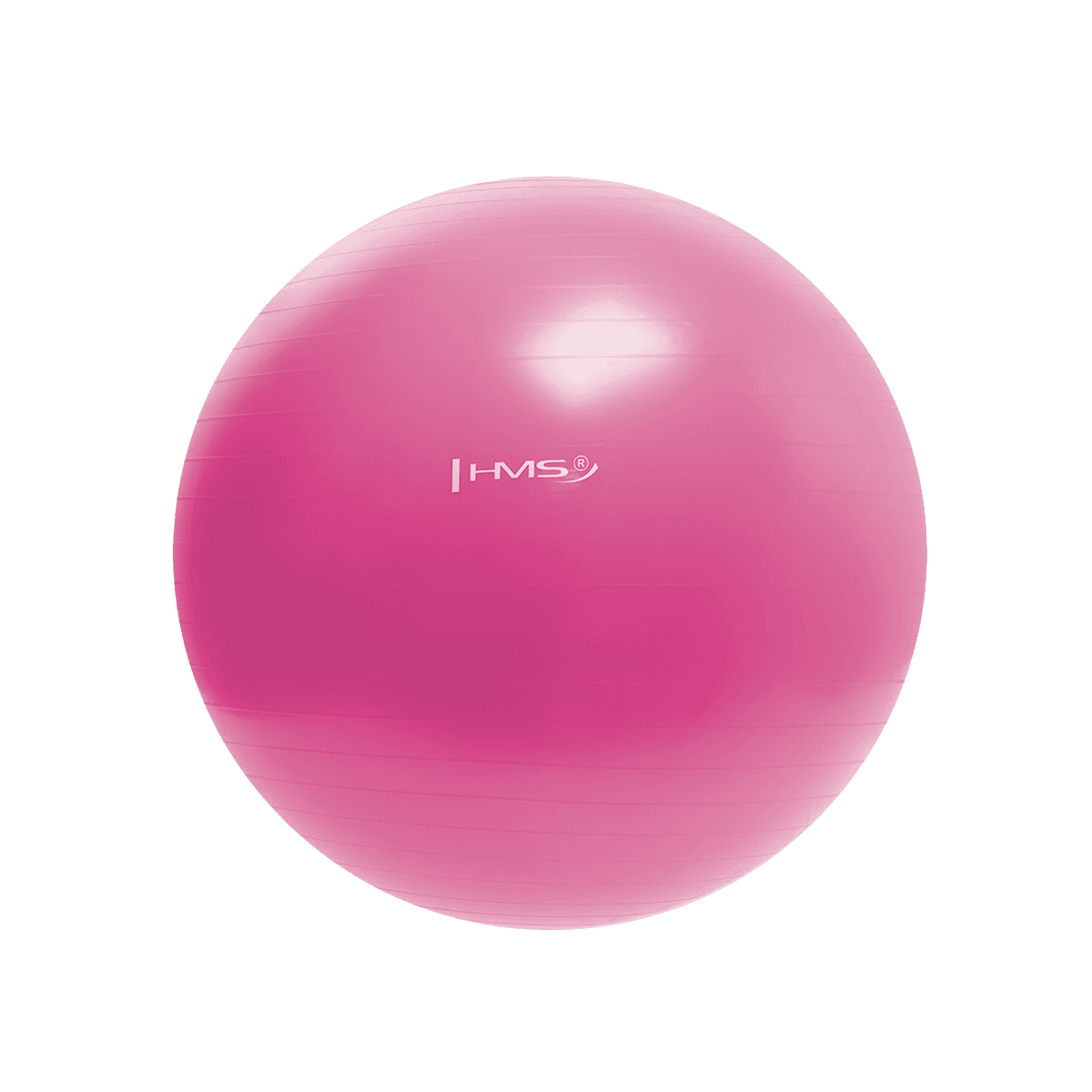 northix, 55cm Pink Gym Ball – Anti-burst, Non-slip, Detail 1