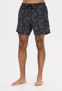 Fileyer, Black
