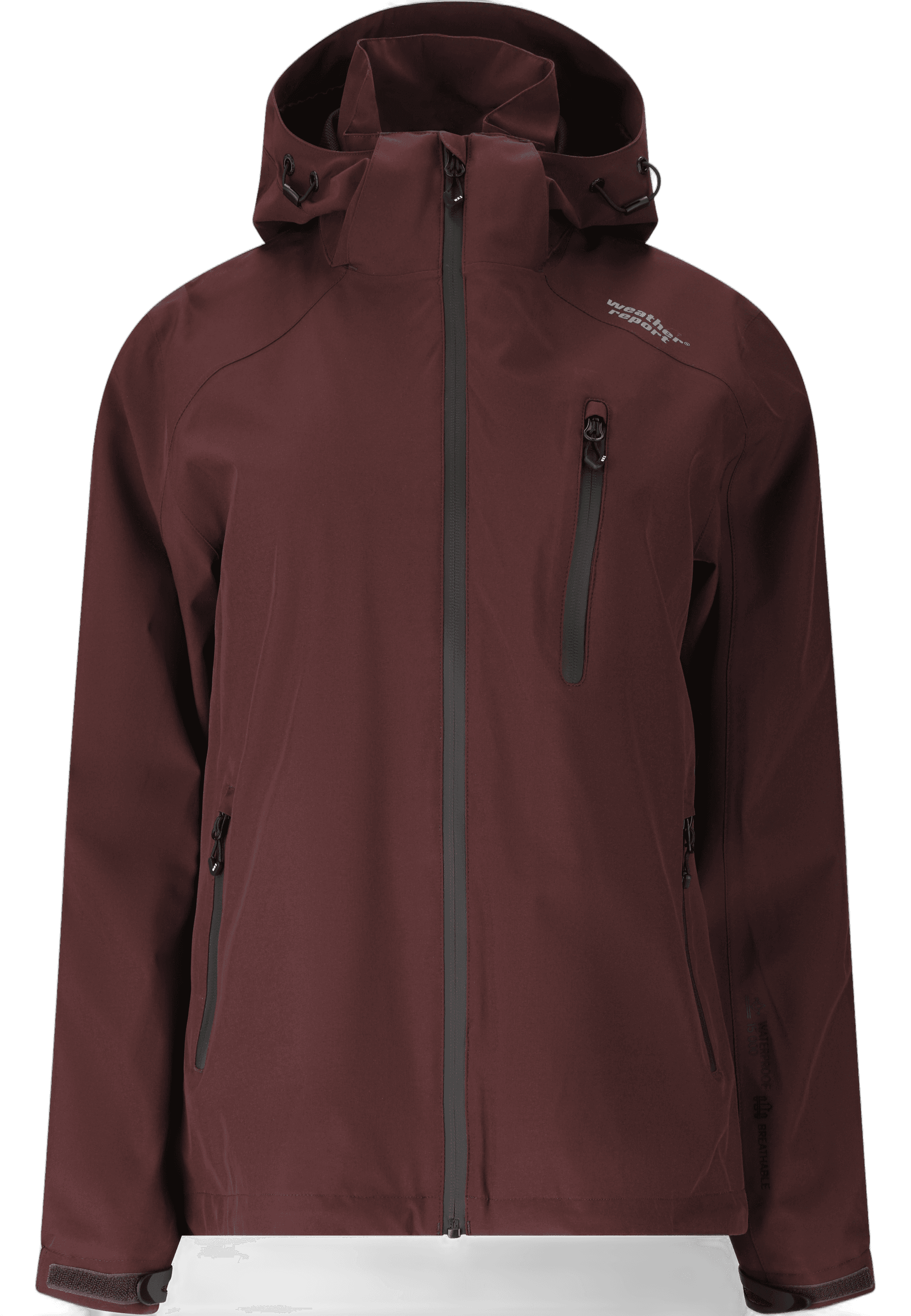 weather report, Camelia W-pro15000, Product 0