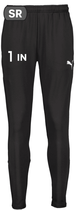 Puma, T Goal Pro Trg Pnt-133161, Unknown 0