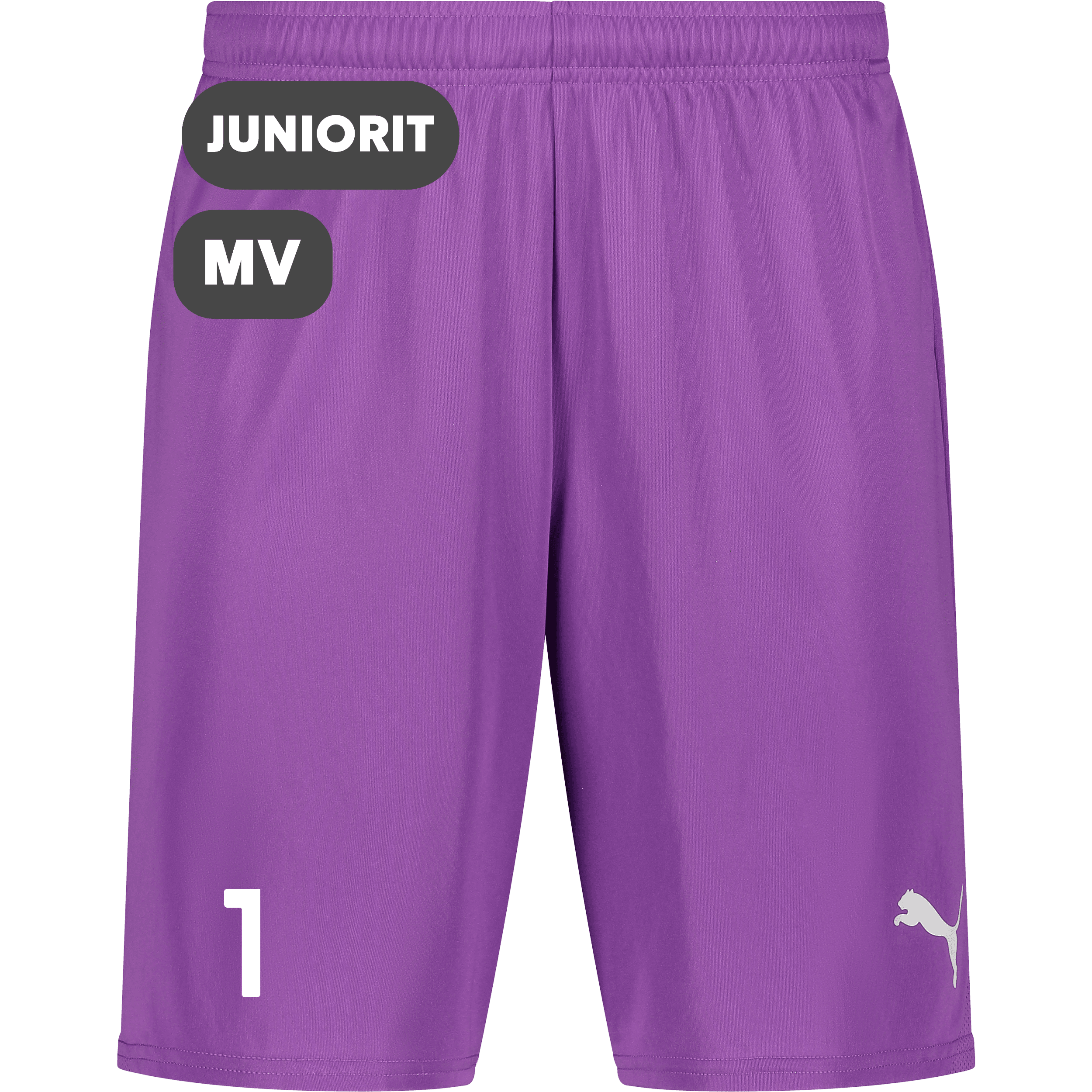 Puma, T Goal Shorts Jr-67487, Unknown 0
