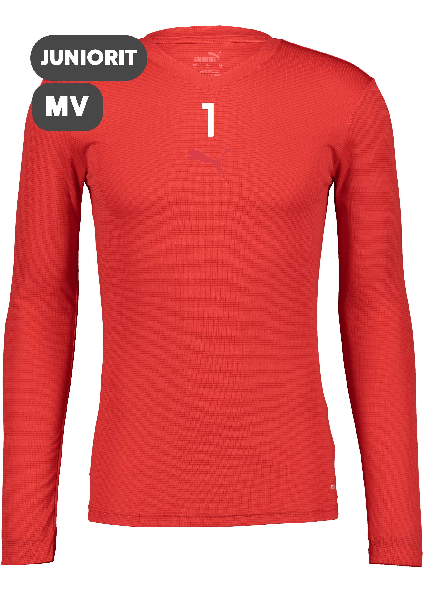 Puma, T Goal Bl Ls Jsy Jr-67490, Unknown 0