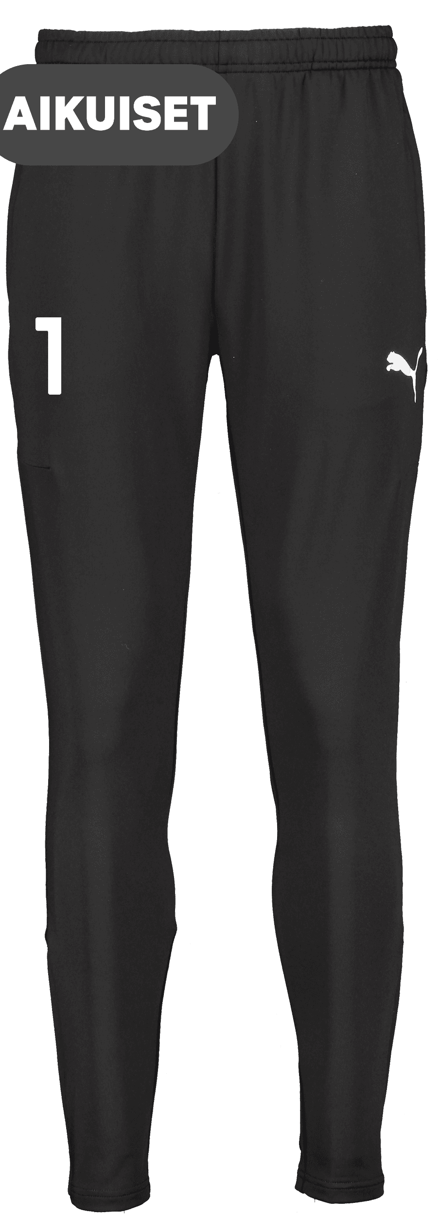 Puma, T Goal Pro Trg Pnt-67522, Unknown 0